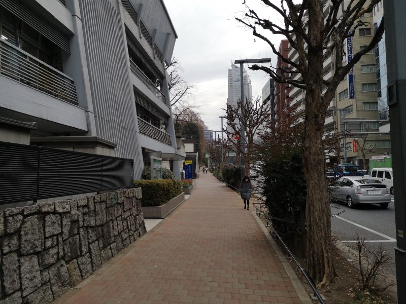 新宿中央公園外周 登坂