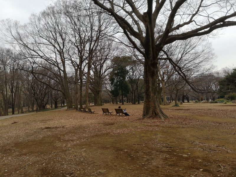 代々木公園 ベンチ2